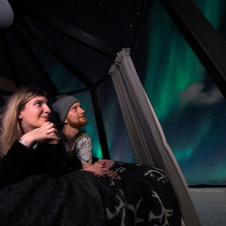 ホテル Aurora Nest - Eco Glass Igloo ロヴァニエミ エクステリア 写真